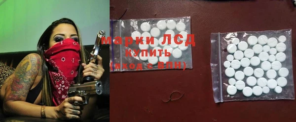 твердый Тайга