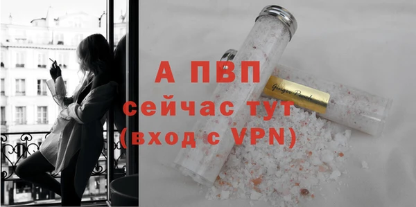 твердый Тайга