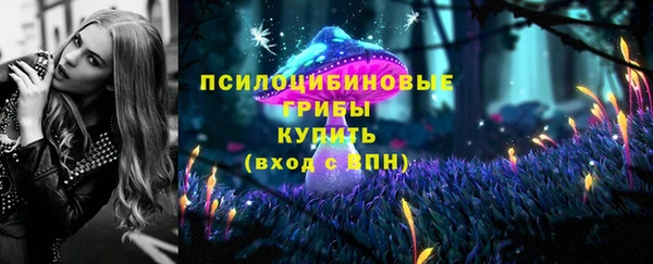 гидра Кинешма