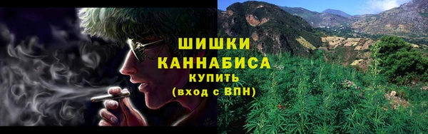хмурый Янаул